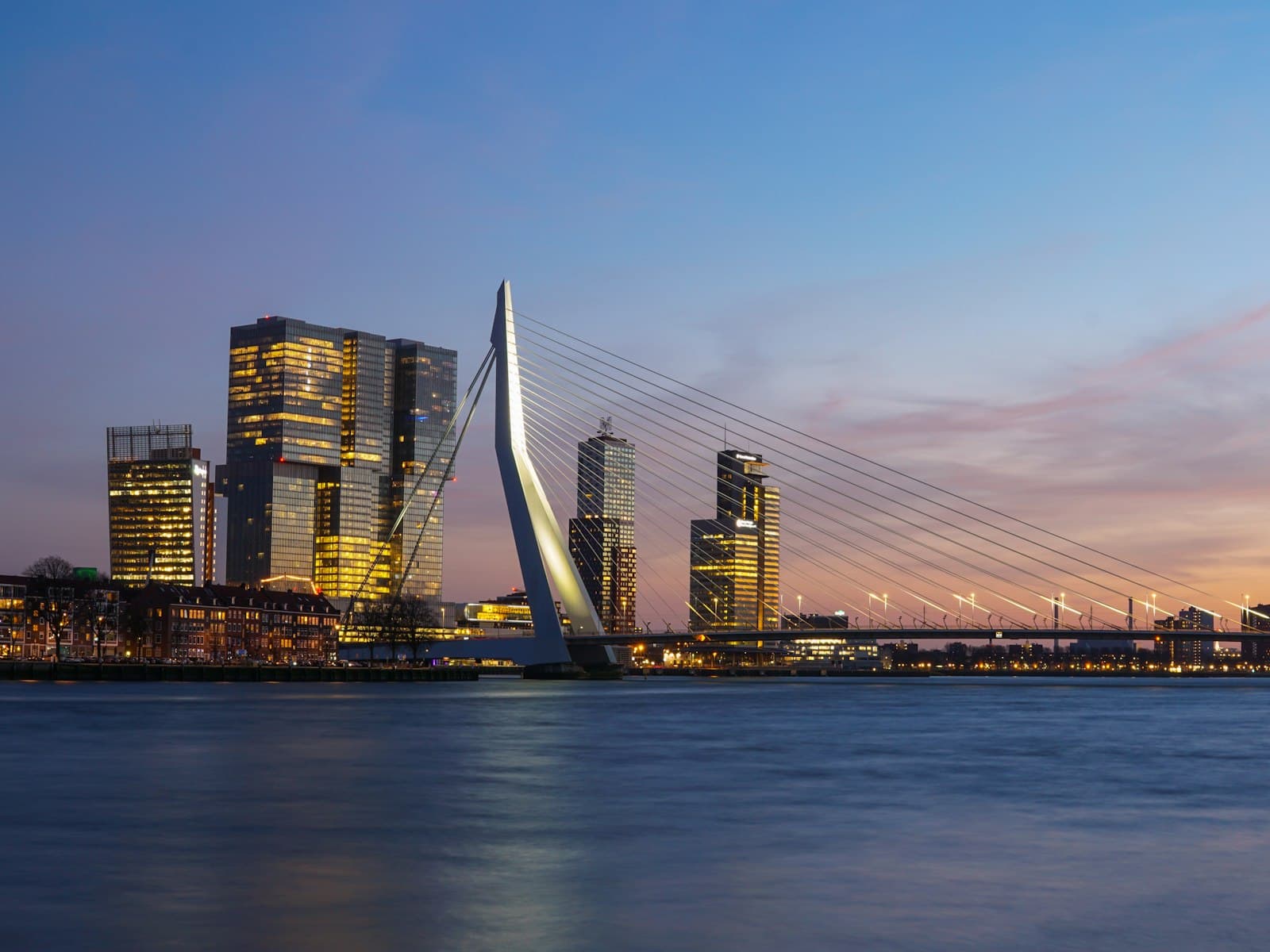 Markthal — Culture Spot in Rotterdam