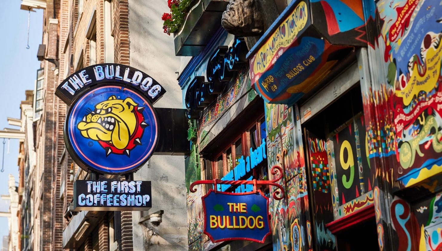 The Bulldog The First — Coffeeshop in Amsterdam