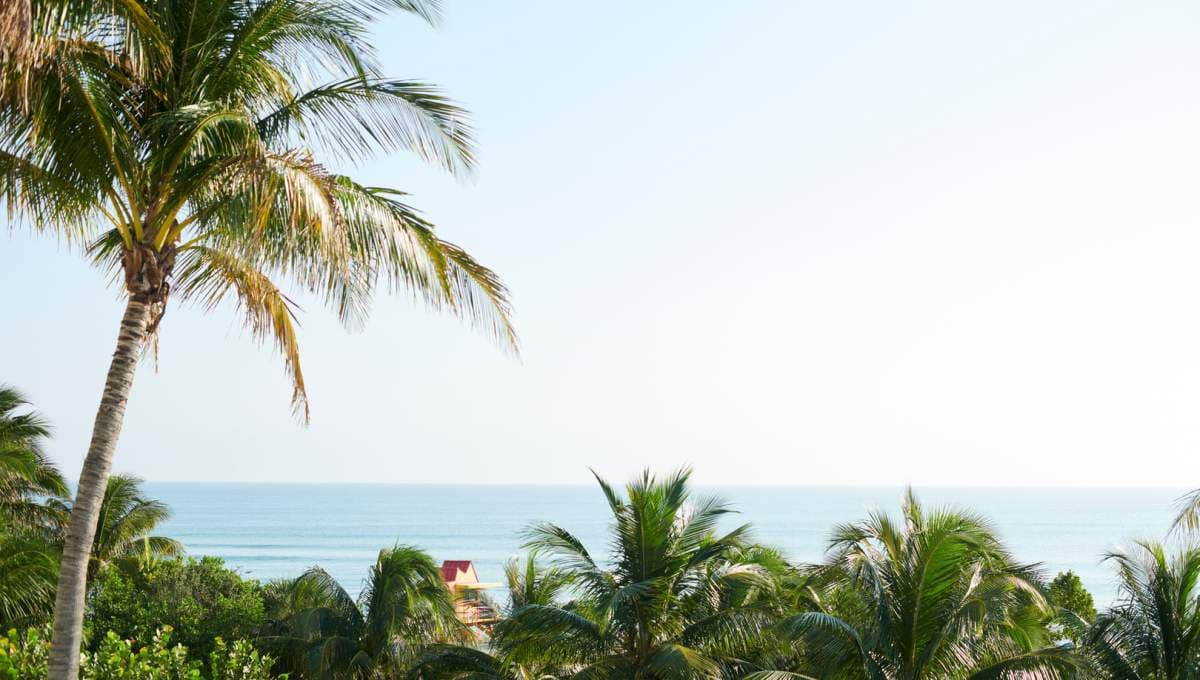 1 Hotel South Beach — Lifestyle Hotel in USA